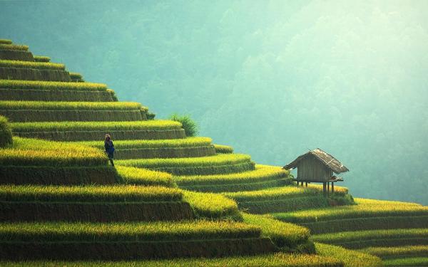 Permaculture Workshops