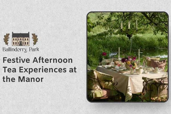 Festive Afternoon Tea Experiences at the Manor - Ballinderry Park