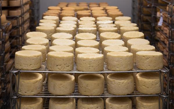 Cheesemaking Workshops