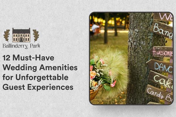 12 Must-Have Wedding Amenities for Unforgettable Guest Experiences - Ballinderry Park
