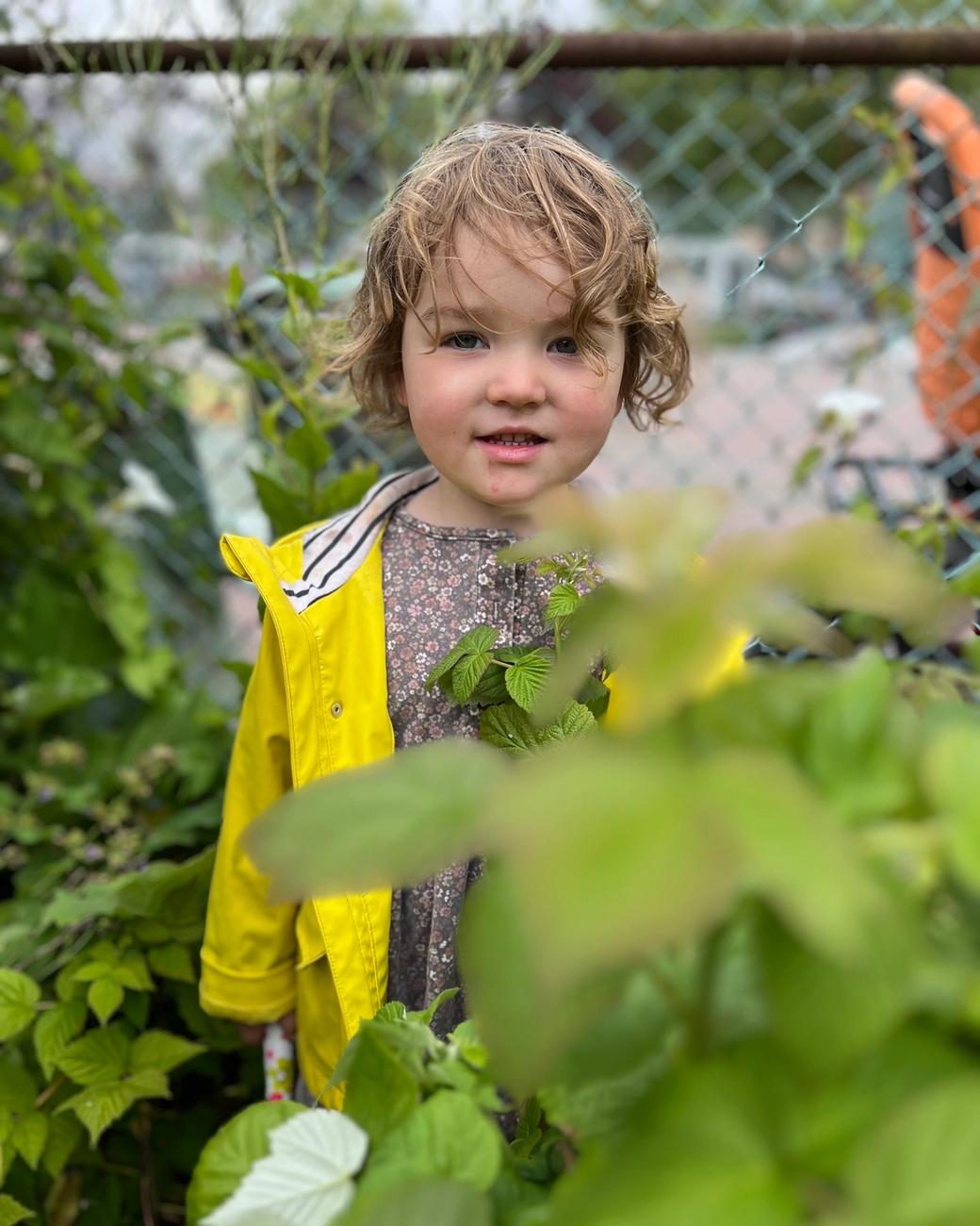 A young child in a yellow raincoat exploring a community garden program