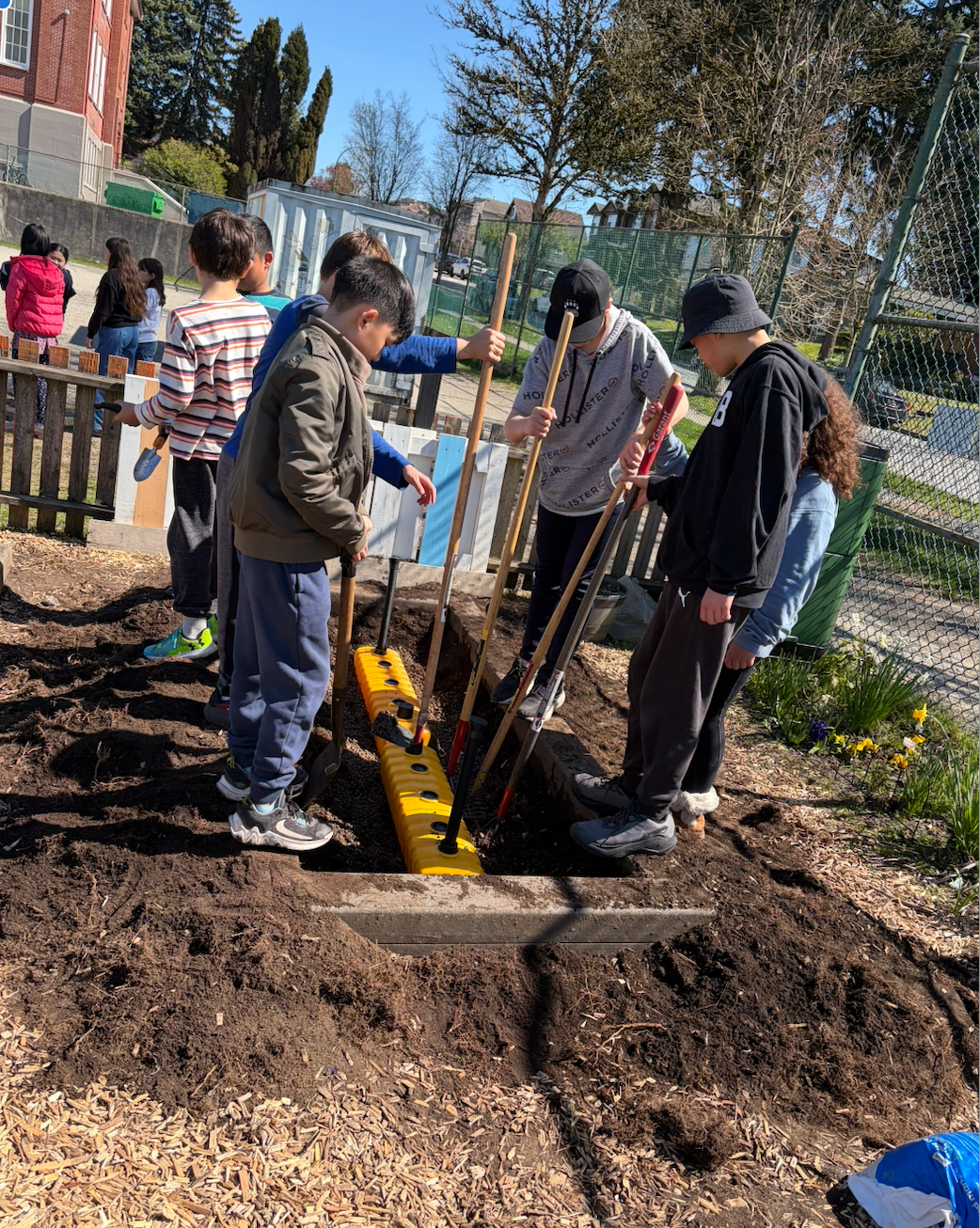 School Garden enhancement