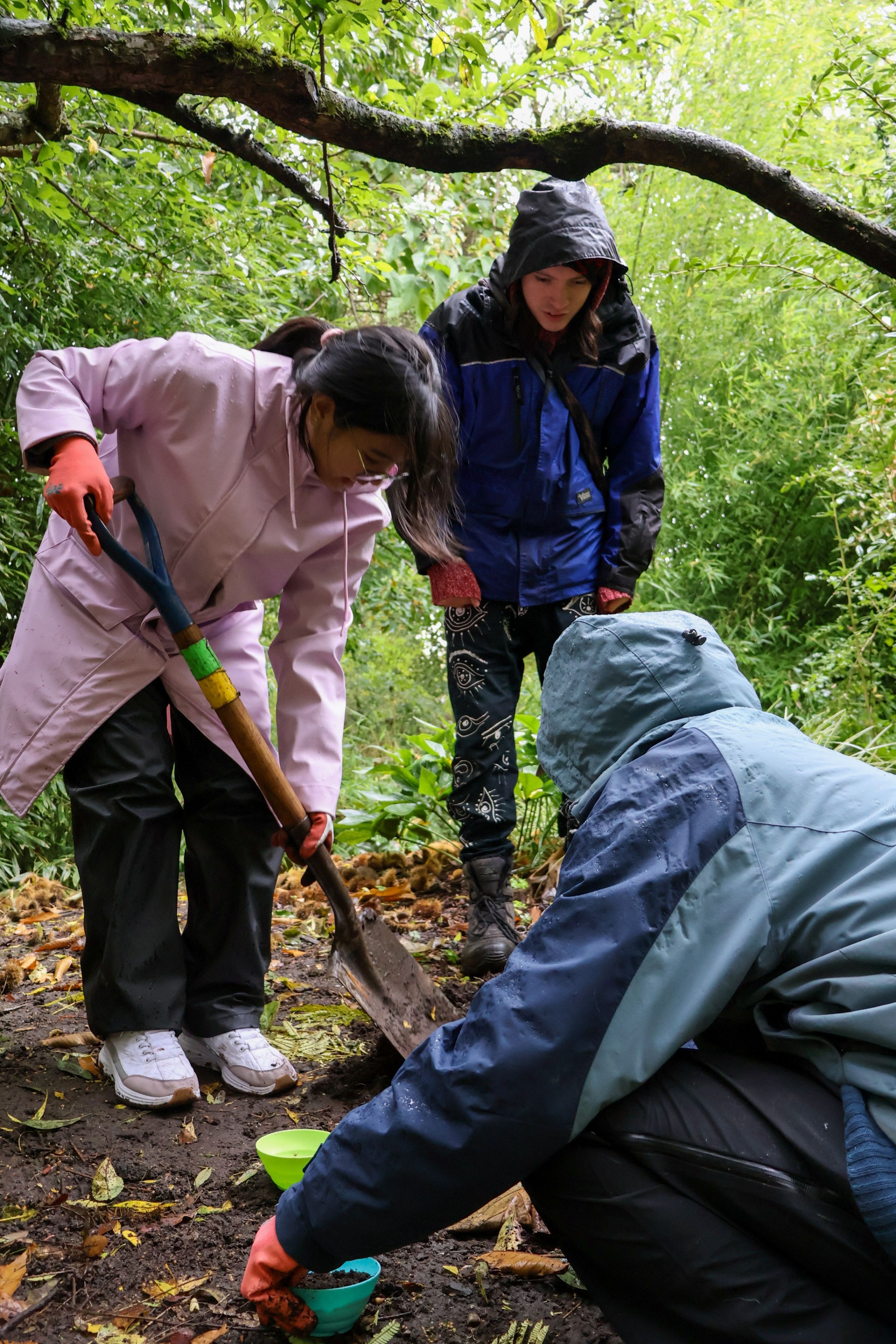 Nature Stewards