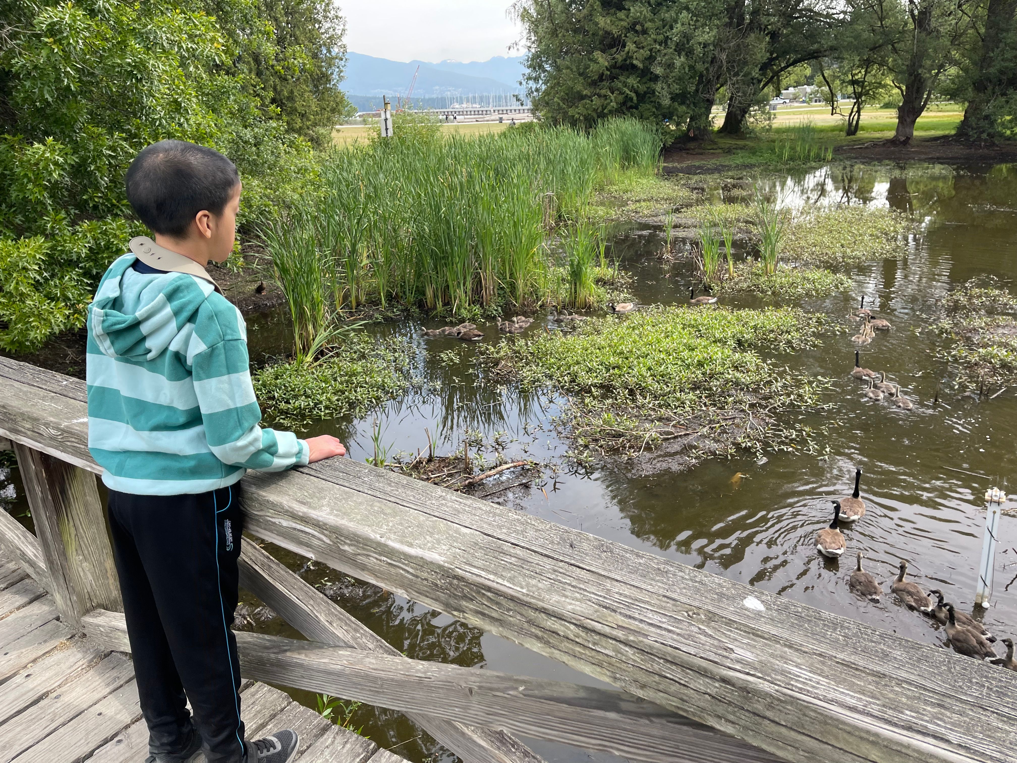 Field Trip to East Jericho Park