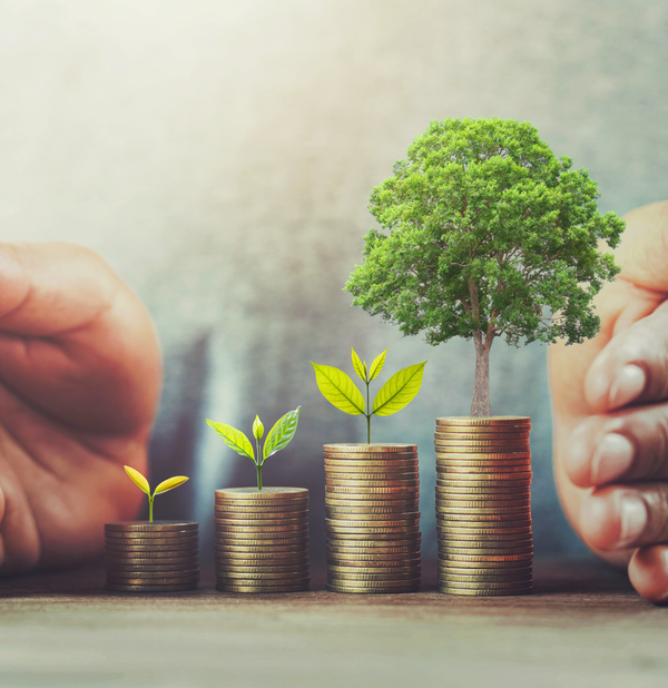 Financial Literacy: What Is It Good For?