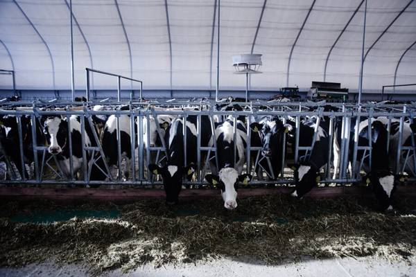 Dairy Dilemma: Bird Flu Outbreak Sends Milk Markets into a Churn