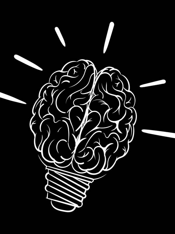 Rewiring Your Amygdala: The Practical Application of Trend in an Investment Portfolio