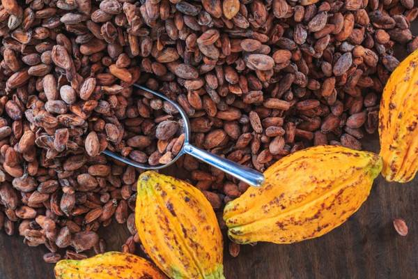 Cuckoo for Cocoa Futures