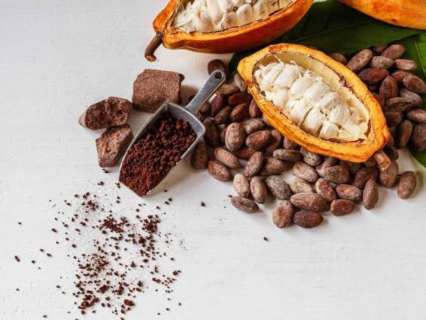 Cocoa Prices Go Parabolic, Bunny Budgets Crumble