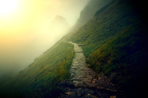 Monte Carlo Simulations: A Journey Down Many Paths