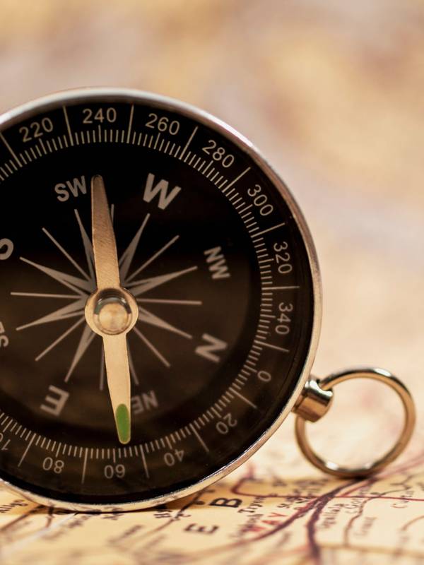 Navigating the Sea Change