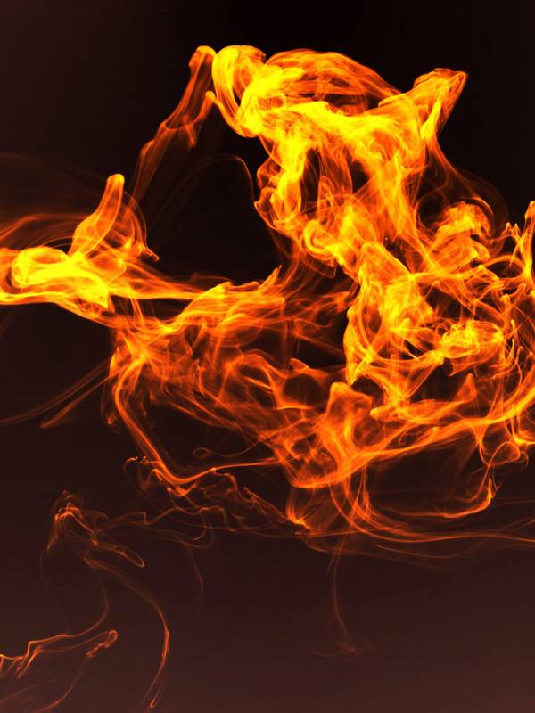 Rising From the Ashes