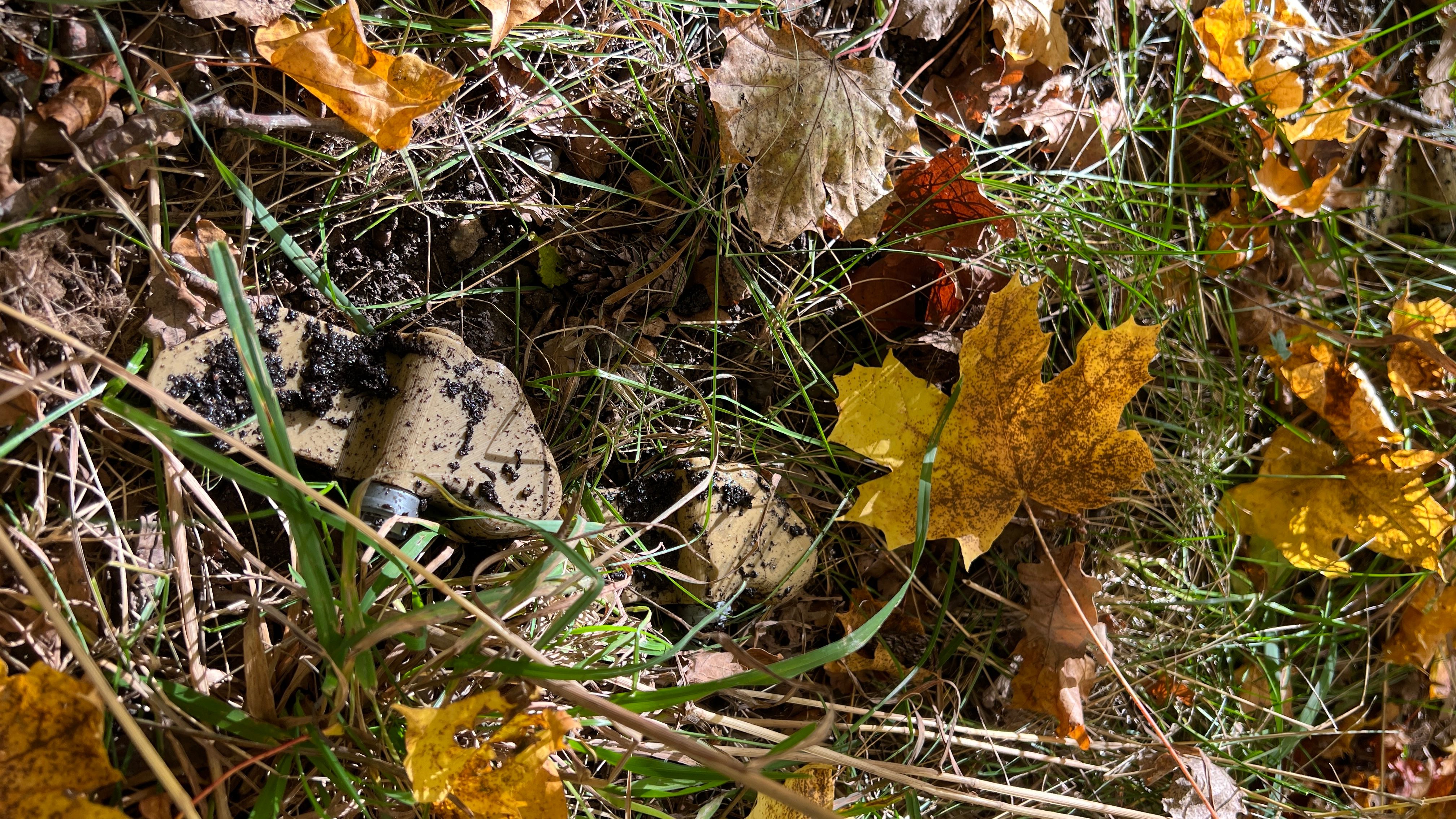 PFM-1, "fjärilsminor", dolda i höstlöv. Foto: CasuPrev Goup AB