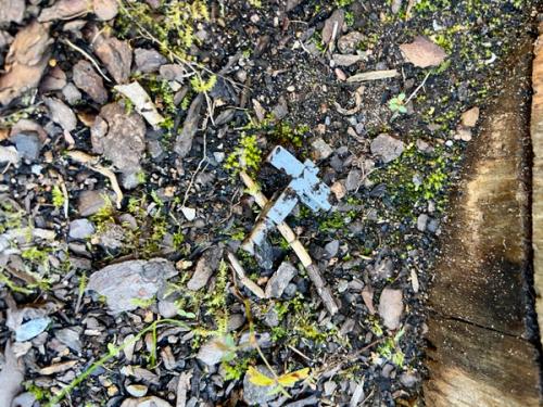  Foto: CasuPrev Group AB