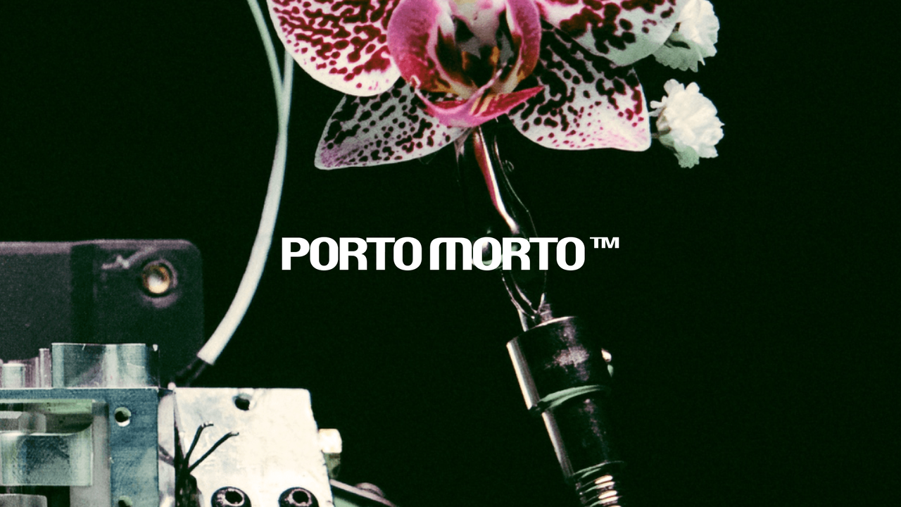 A spotted orchid rising from a metal connector behind the PORTO MORTO wordmark