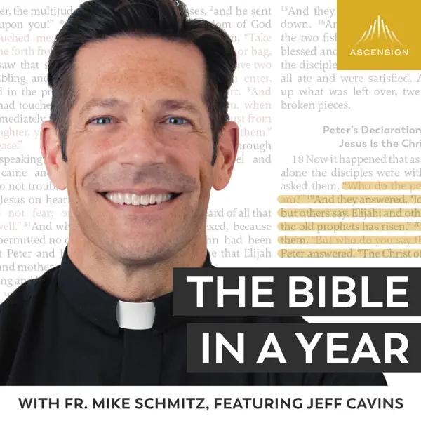 image of The Bible in a Year (with Fr. Mike Schmitz)