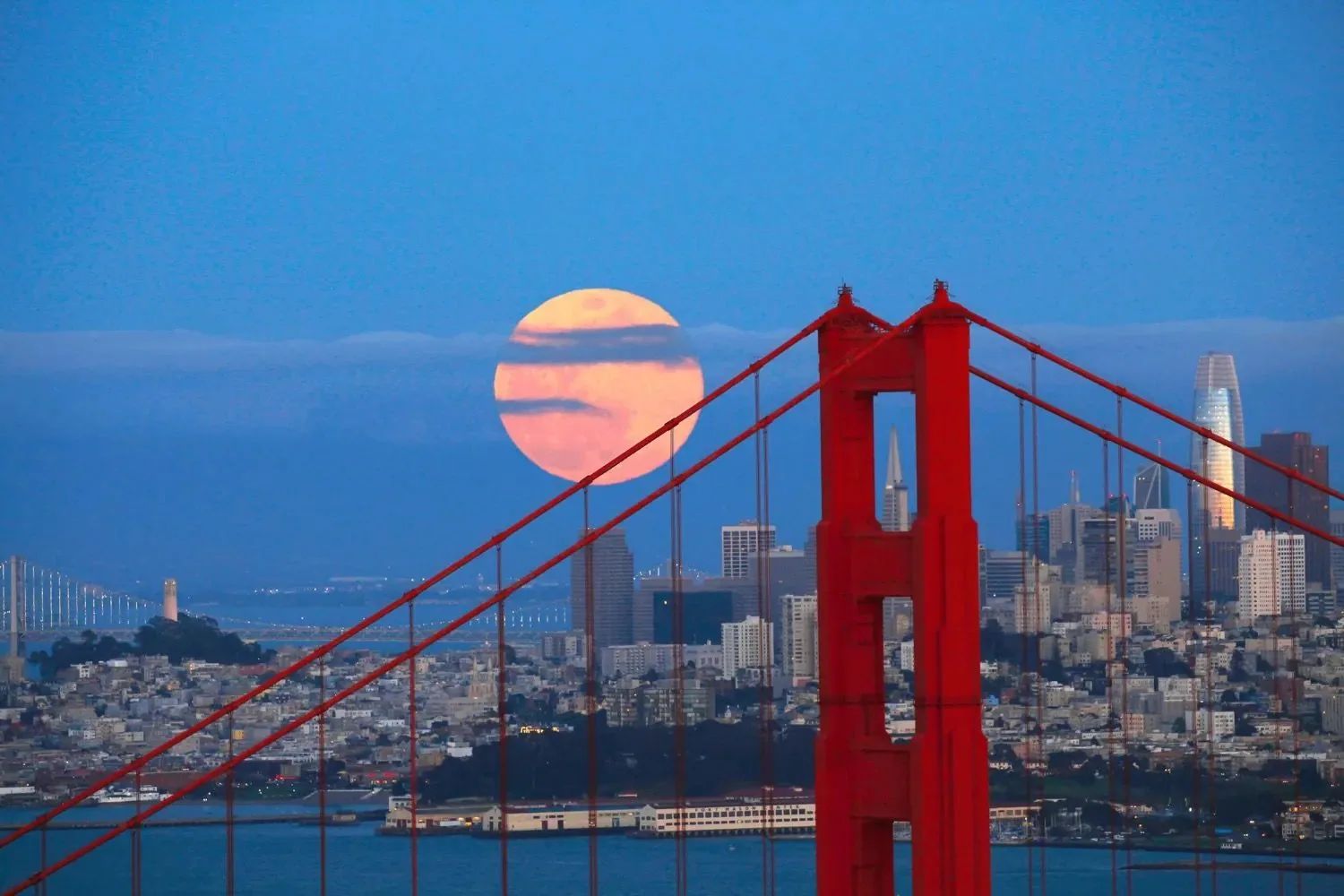 Golden Gate Global