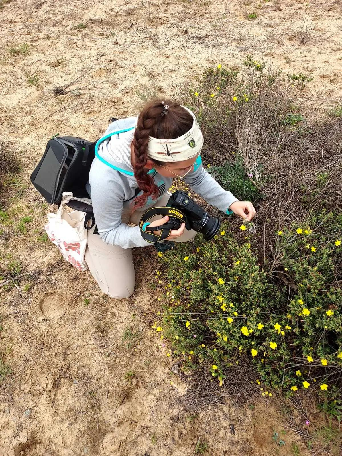 Persona arrodillada fotografiando flores amarillas en la arena.