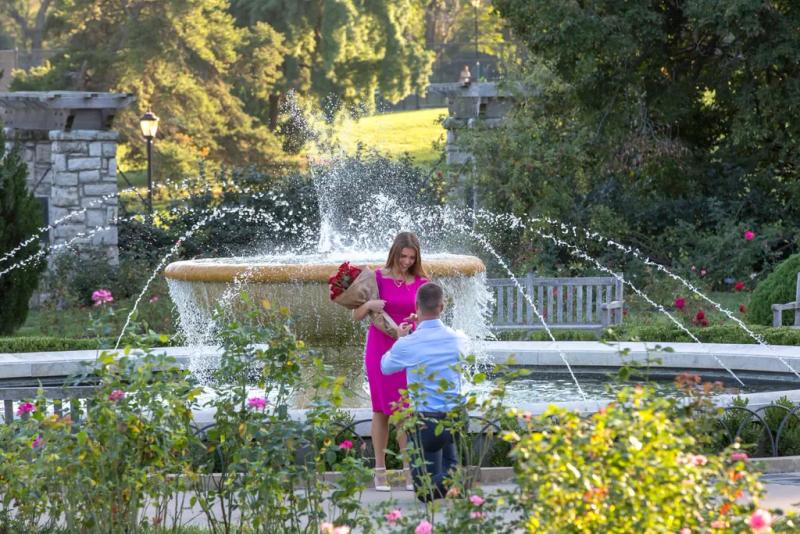 Kansas City Proposal Photography|Aaron and Hannah – surprise proposal at Loose Park Rose Garden, Kansas City
