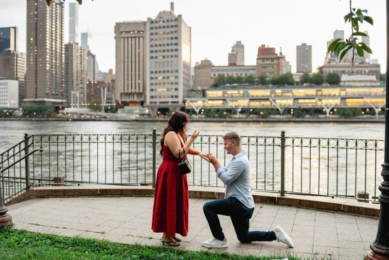 Skyline Proposal on Roosevelt Island – surprise proposal at Roosevelt Island, New York