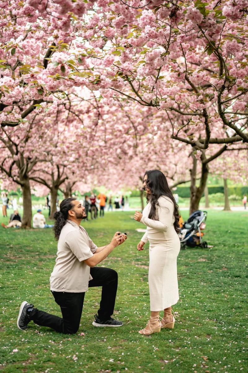 Spring Proposal Ideas
