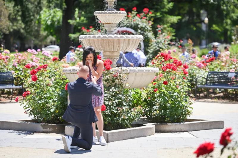 Roger's Amazing Sacramento Rose Garden Proposal – surprise proposal at World Peace Rose Garden, Sacramento