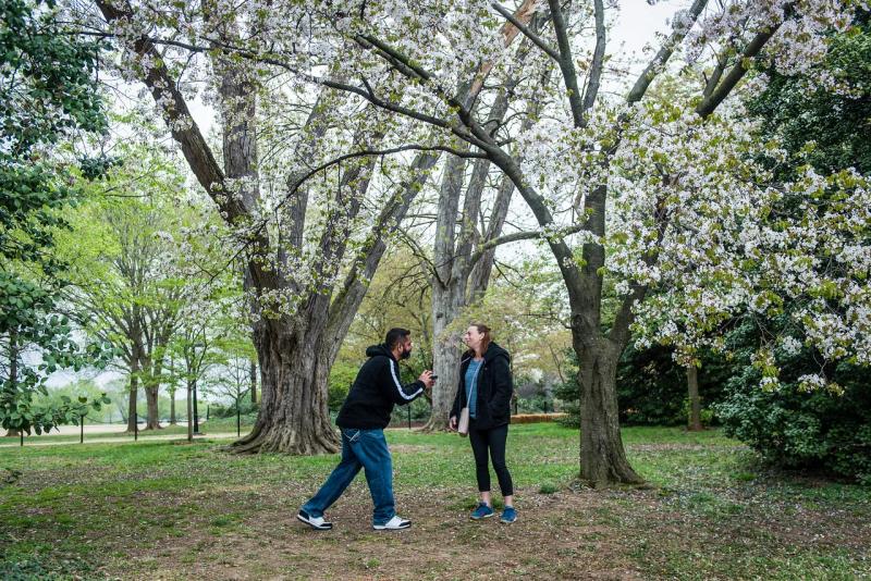 Proposal photographed in Washington DC