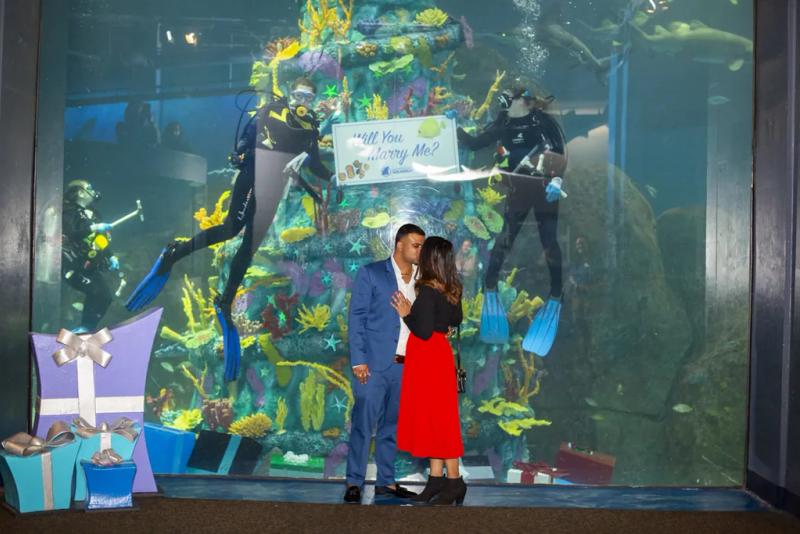 Prem's Philly Aquarium Engagement Proposal – surprise proposal at Adventure Aquarium, Philadelphia