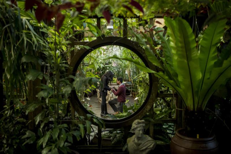Conservatory of Flowers, San Francisco