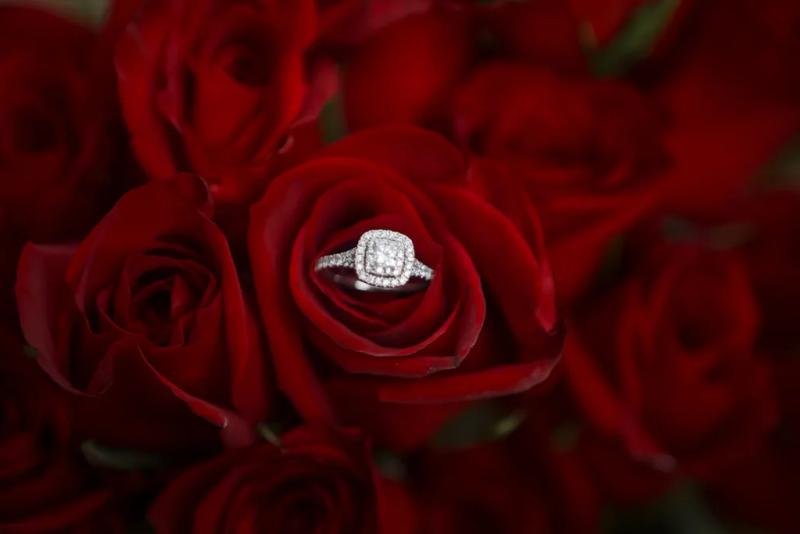 Dallas Proposal Photography| Reverchon Park – surprise proposal at Reverchon Park, Dallas
