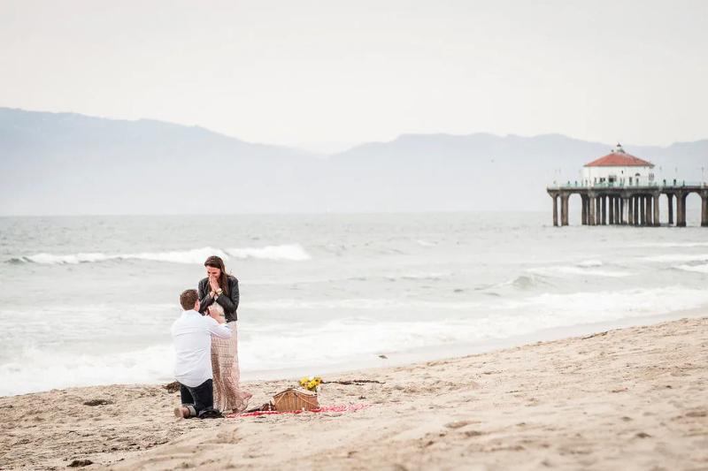 Picnic Proposal in San Diego