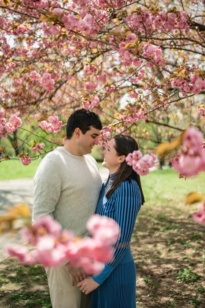 Boston Cherry Blossom Proposal Spots