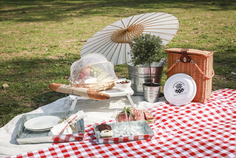 Picture-Perfect Picnic Proposal, New York