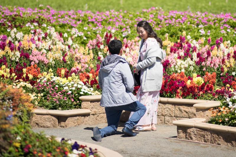 Proposal photographed in San Diego