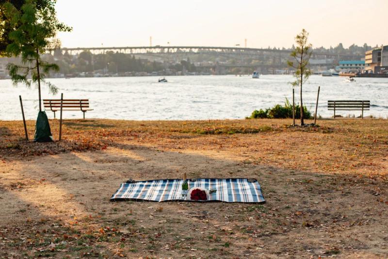 Picnic Park Proposal in Seattle