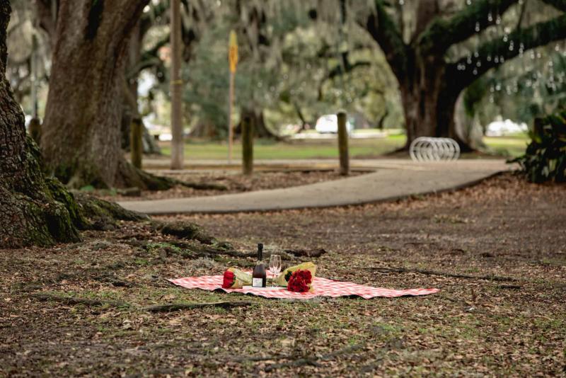 Picnic Proposal, romantic picnic with decor and roses
