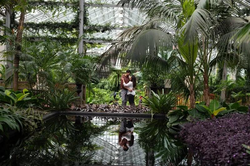 Proposal filmed and photographed at the Garfield Park Conservatory, Chicago