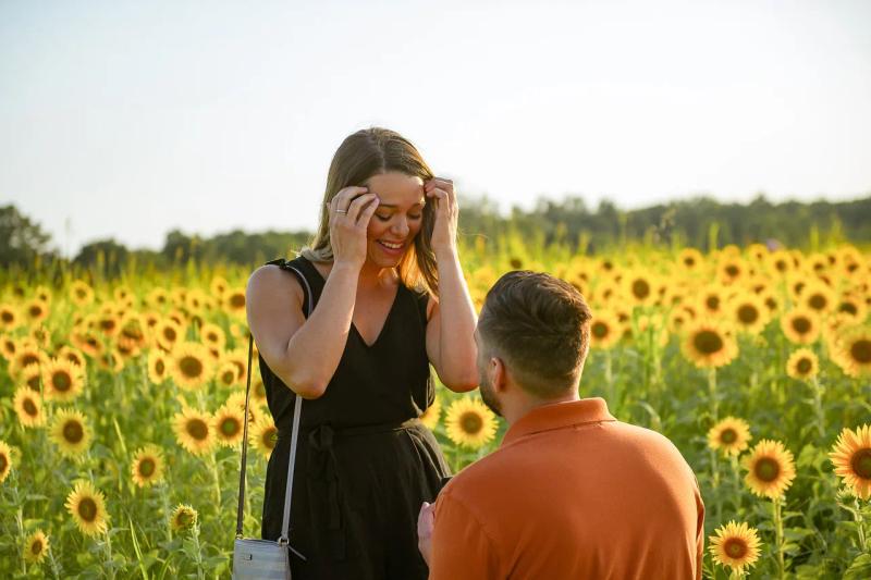 Proposal photographed in Washington DC