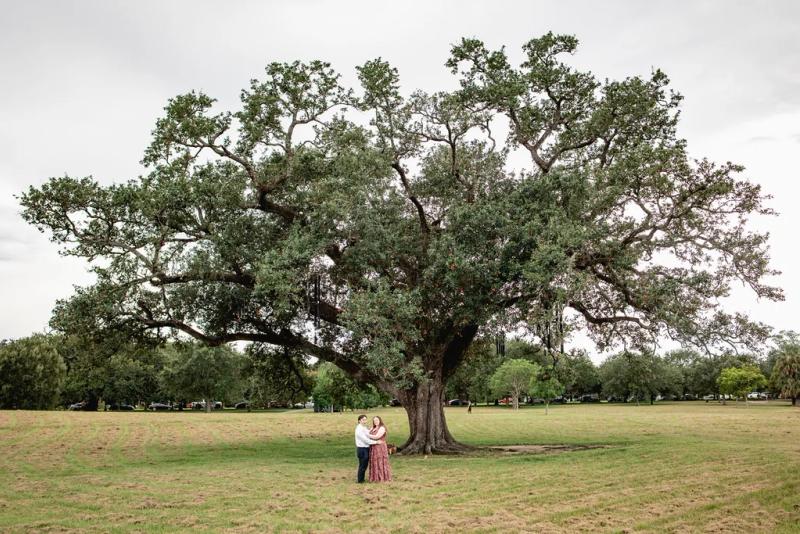 Picnic Proposal Under the Singing Oak – surprise proposal at City Park, New Orleans