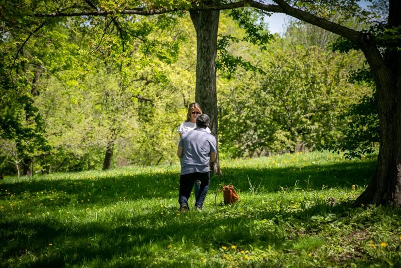 Alex's Arnold Arboretum Boston Proposal – surprise proposal at Arnold Arboretum, Boston