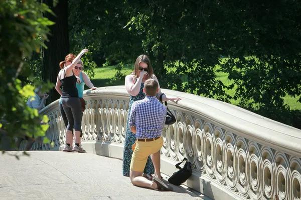 Nick proposing to Liz on a stone bridge in a park