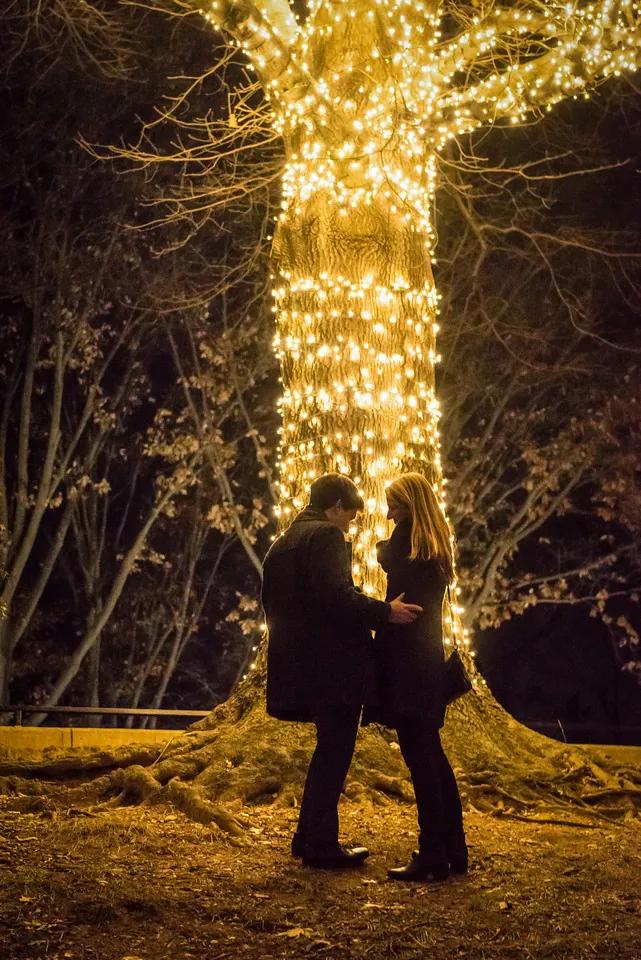 Proposal photographed in Washington DC