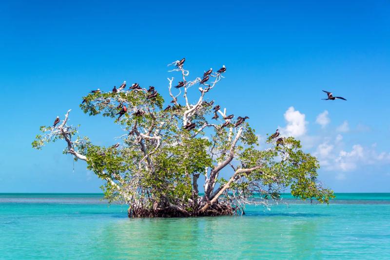 Sian Ka'an Biosphere Reserve, Tulum