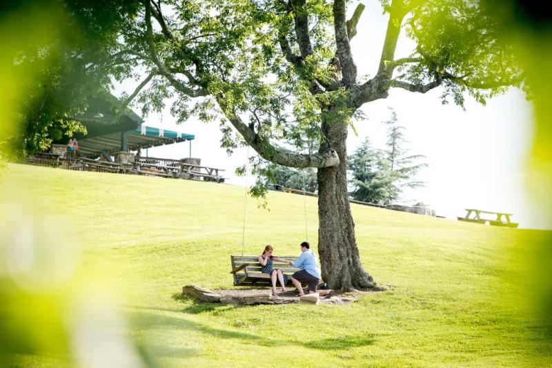 Nashville Proposal Photography| Alan and Ashley – surprise proposal at Arrington Vineyards, Nashville