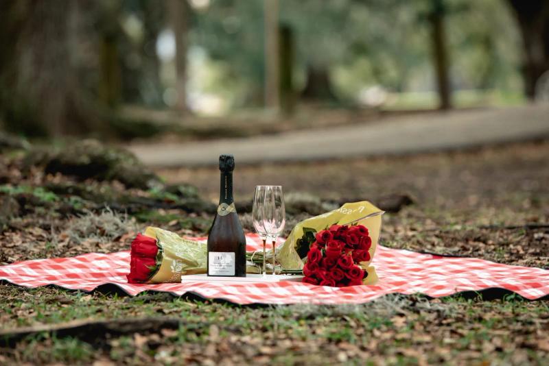 Picnic, photographed by Paparazzi Proposals