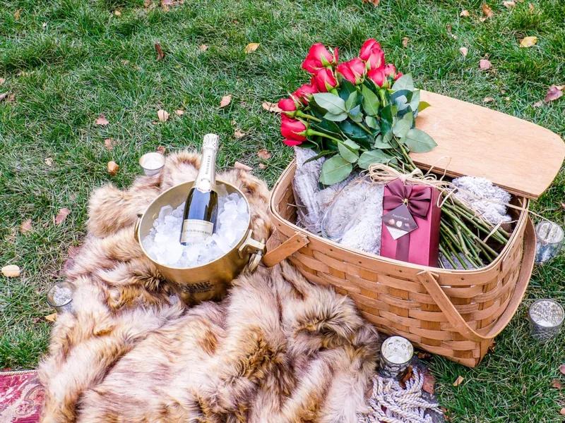 Picnic proposal setup with roses and champagne in a Chicago park