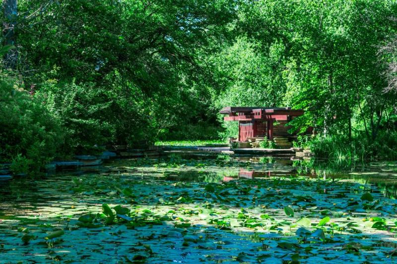 A small red pavilion surrounded by lush green trees sits beside a calm pond covered with lily pads on a sunny day.