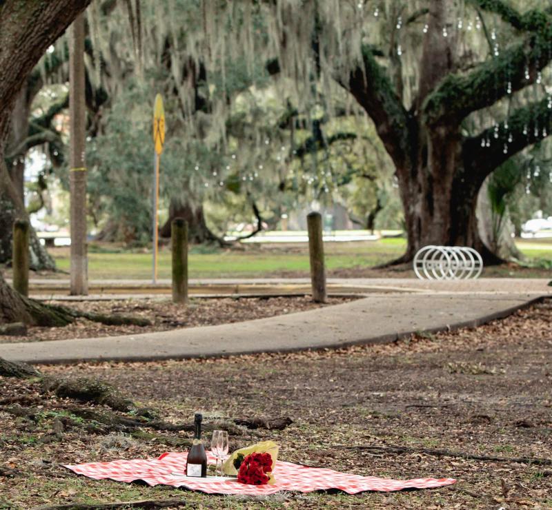 Outdoor Romantic New Orleans Proposal Spots, photographed by Paparazzi Proposals
