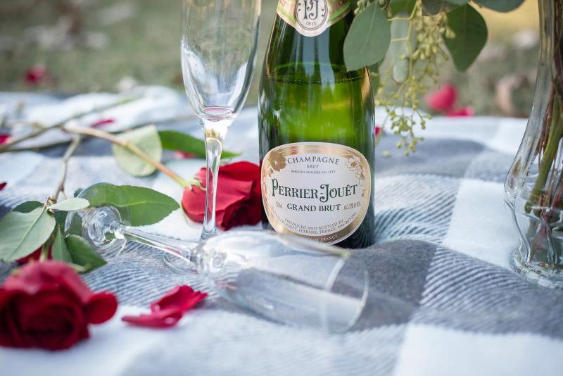 Picnic Proposal in Atlanta