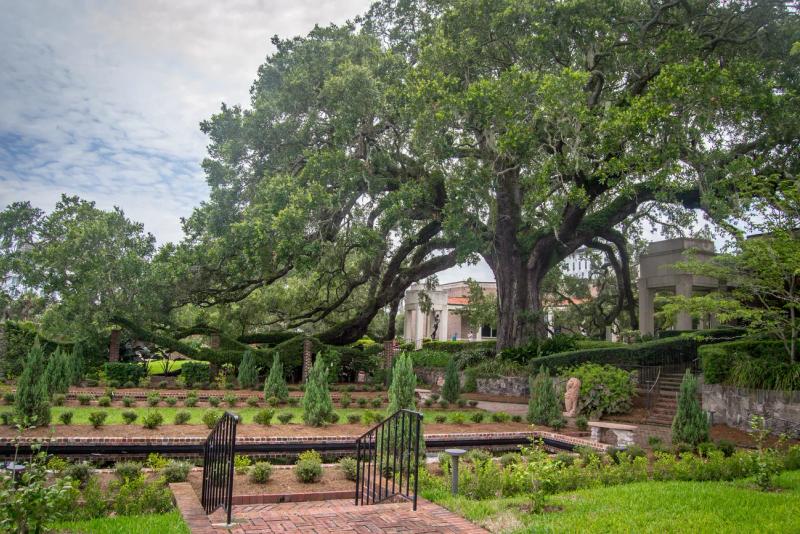 Cummer Museum of Art & Gardens, Jacksonville